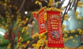 胡志明风俗节日有哪些