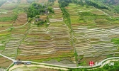 航拍重庆酉阳龙甲梯田 宛如大地指纹