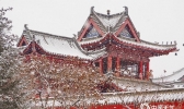 辽宁沈阳迎降雪 大地披银装