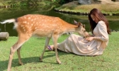 奈良喂鹿攻略和技巧