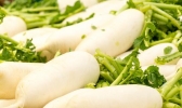 2020秋分吃什么时令食物 秋分时节必吃的时令蔬果