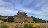 2019山海关菊花文化节时间+地点+活动介绍
