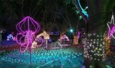 2019深圳观澜湖灯光秀活动时间+地点+交通指南