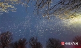 新疆多地迎今冬最强降雪 塔城等白雪皑皑