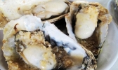 珠海有什么必吃的美食 珠海必吃美食攻略
