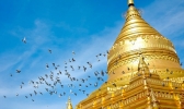 缅甸旅游安全吗 缅甸旅游安不安全