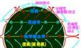 你可能没了解过“副极地低压带”吧
