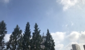 今日多云到晴 谨防局部雷阵雨