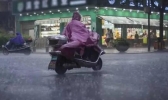 温州景山森林公园一路段暴雨塌方 预计7月8日恢复正常通行