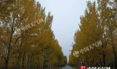 今天辽宁有雨最高气温创新低 后天阜新朝阳跌破0℃