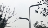 陕西今夜起雨雪来袭西安或迎初雪 雪后降温谨防道路结冰