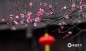 重庆濯水古镇张灯结彩迎新春