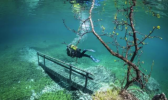 潜水除了看鱼还可以看什么 潜水新奇地点推荐