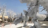 【内蒙古】降温！降雪！大风！内蒙古这个周末天气好任性