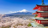 日本有哪些媒体