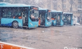 山东烟台今迎降雪 雪花飞舞披银装