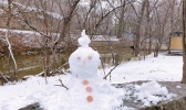 【甘肃】临潭降雪 玉树银装素裹