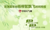 京津等地飞絮周末爆发 今年来得晚一些