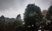 明夜起降水降温再袭湖南 北部高寒山区有雨夹雪或雪