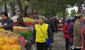 【四川】绵阳小雪节气迎来今年最强降温