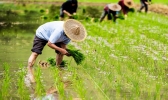 新土地法宅基地最新政策