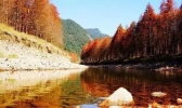 11月份适合去哪里旅游国内