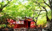 安徽宿州旅游景点有哪些