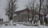 【甘肃】庆阳市普降小到中雪  部分乡镇受灾
