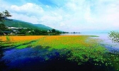 凉山因何而得名