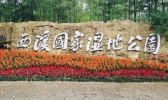 杭州适合秋游的地方 杭州适合秋天玩的景点