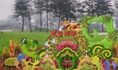 小榄菊花展是什么时候2019 2019小榄菊花展门票+地点+活动介绍