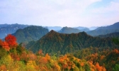 四川光雾山周边酒店预订 附电话号码