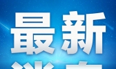 美国累计新冠确诊病例超1500万例