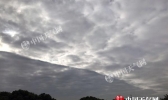 上海最高温创下半年来新低 下周干燥少雨气温波动大