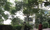 江苏苏州常州等地有大雨 南京秋天迟到