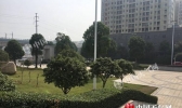 冷空气将袭湖南气温大跳水 明天长沙最高仅16℃