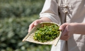 绍兴特产茶叶有哪些 绍兴产什么茶叶