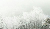 金佛山景区迎今冬首场雾凇 今明天重庆雨雪持续气温低