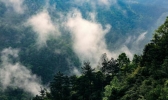 大别山在哪 大别山在哪个省哪个县