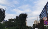 北京今有7至8级阵风