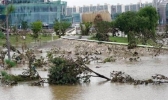 韩国全国暴雨死亡人数增至31人 目前仍有11人下落不明