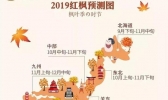 2019日本红叶预测图+观赏地点推荐