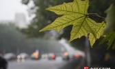 河南大部地区维持阴雨天气