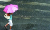 浙江义乌本周依然是梅雨天 “三伏天”就位到计时