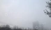 【新疆】仙境伊州 大雾来袭