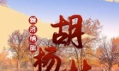 听说你需要一份额济纳旗的旅游攻略？