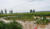 今明天陕西仍有强降水 延安榆林局部有暴雨谨防次生灾害
