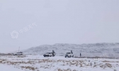 【新疆】木垒县遇入冬以来最强降雪天气过程