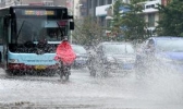 一起了解下“大到暴雨”