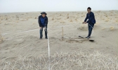 甘肃武威增加沙丘定点监测点 服务生态建设